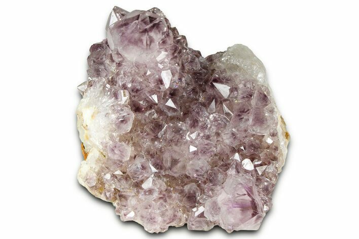 Sparkling Cactus Amethyst Crystal Cluster - South Africa #364628